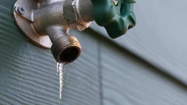Best Drain Cleaning Services  in Weirton, WV